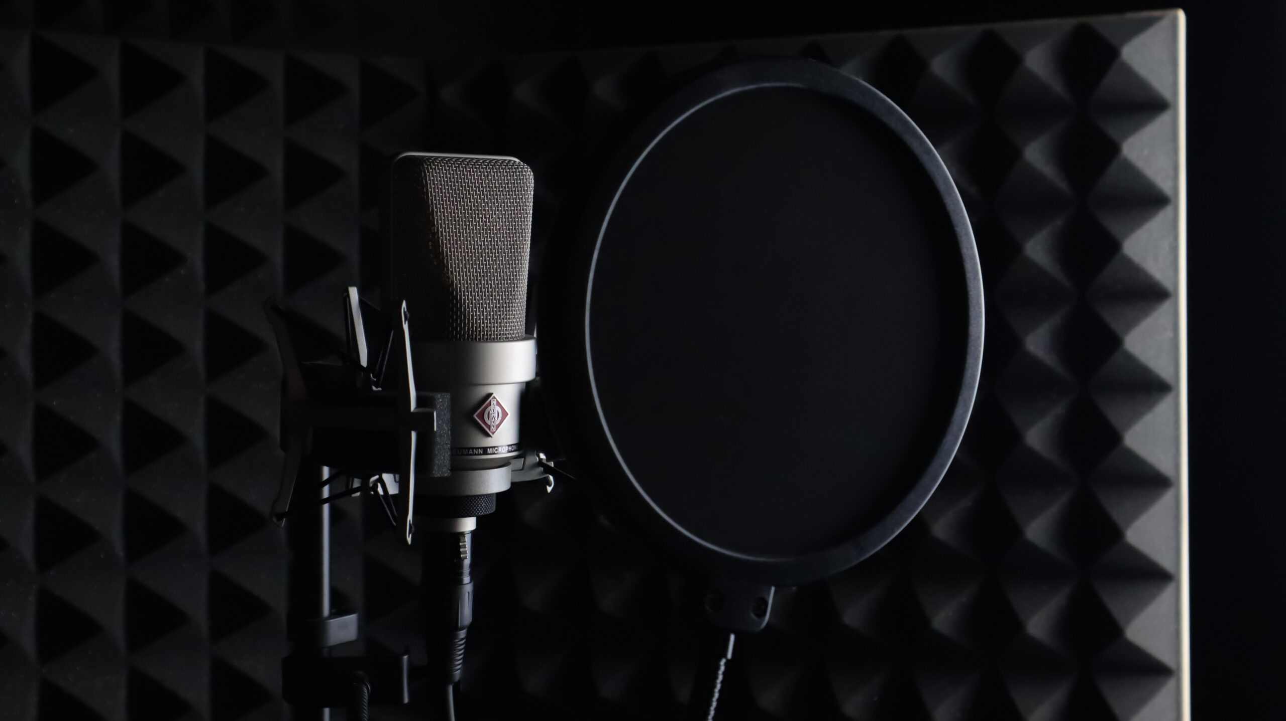 Neumann TLM 107